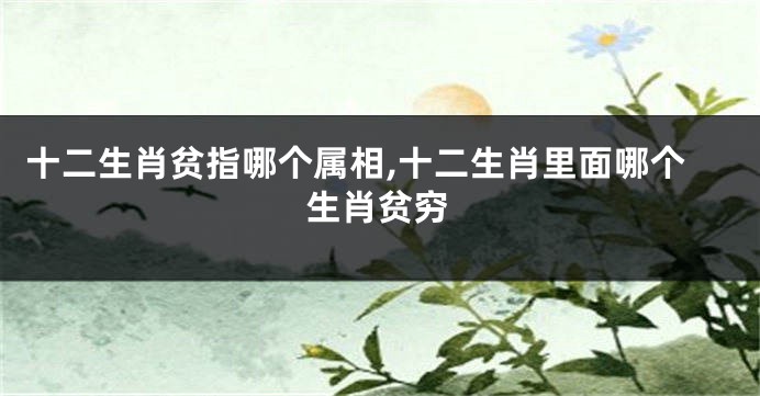 十二生肖贫指哪个属相,十二生肖里面哪个生肖贫穷
