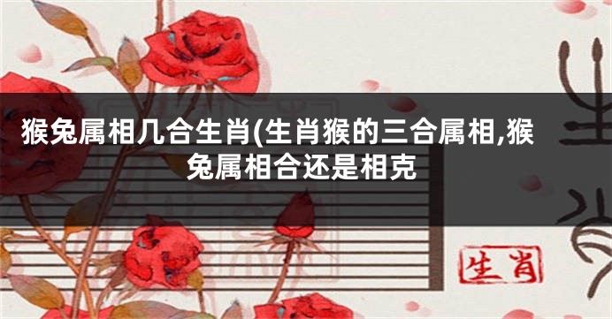 猴兔属相几合生肖(生肖猴的三合属相,猴兔属相合还是相克
