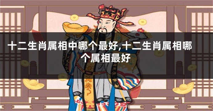 十二生肖属相中哪个最好,十二生肖属相哪个属相最好
