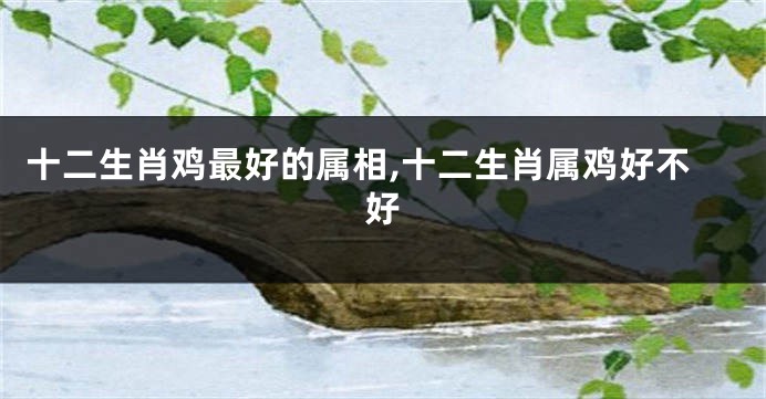 十二生肖鸡最好的属相,十二生肖属鸡好不好