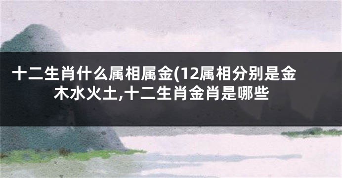 十二生肖什么属相属金(12属相分别是金木水火土,十二生肖金肖是哪些