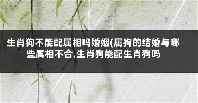 生肖狗不能配属相吗婚姻(属狗的结婚与哪些属相不合,生肖狗能配生肖狗吗
