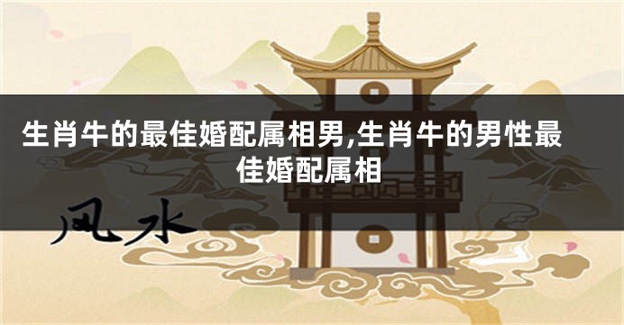 生肖牛的最佳婚配属相男,生肖牛的男性最佳婚配属相