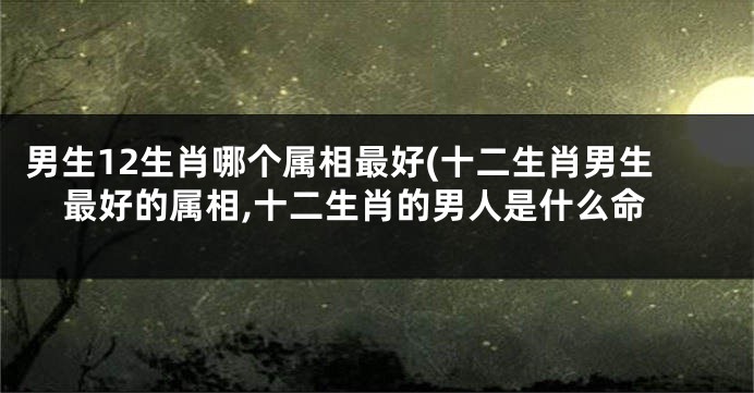 男生12生肖哪个属相最好(十二生肖男生最好的属相,十二生肖的男人是什么命