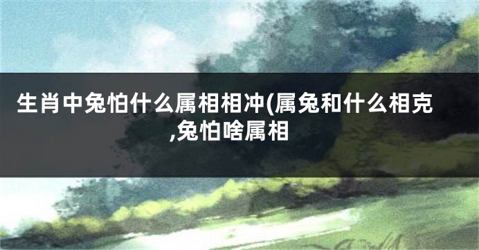 生肖中兔怕什么属相相冲(属兔和什么相克,兔怕啥属相