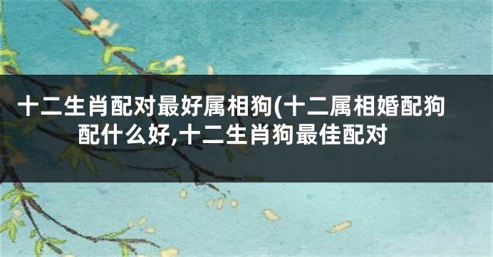 十二生肖配对最好属相狗(十二属相婚配狗配什么好,十二生肖狗最佳配对