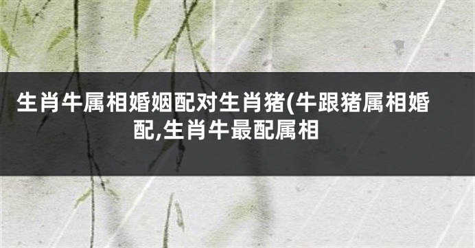 生肖牛属相婚姻配对生肖猪(牛跟猪属相婚配,生肖牛最配属相