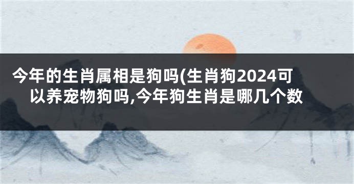今年的生肖属相是狗吗(生肖狗2024可以养宠物狗吗,今年狗生肖是哪几个数