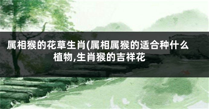 属相猴的花草生肖(属相属猴的适合种什么植物,生肖猴的吉祥花