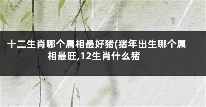 十二生肖哪个属相最好猪(猪年出生哪个属相最旺,12生肖什么猪