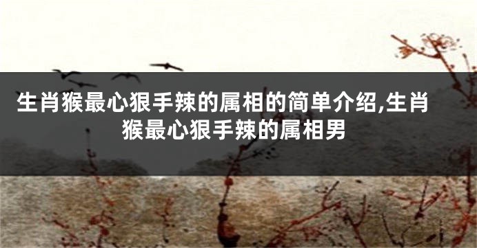生肖猴最心狠手辣的属相的简单介绍,生肖猴最心狠手辣的属相男