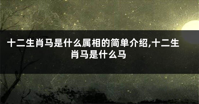 十二生肖马是什么属相的简单介绍,十二生肖马是什么马