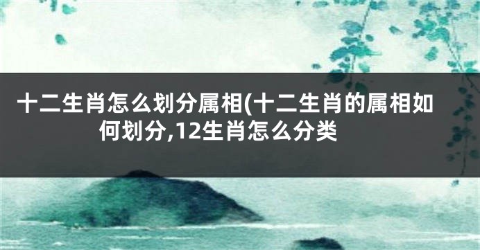 十二生肖怎么划分属相(十二生肖的属相如何划分,12生肖怎么分类
