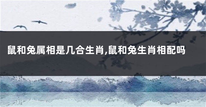鼠和兔属相是几合生肖,鼠和兔生肖相配吗