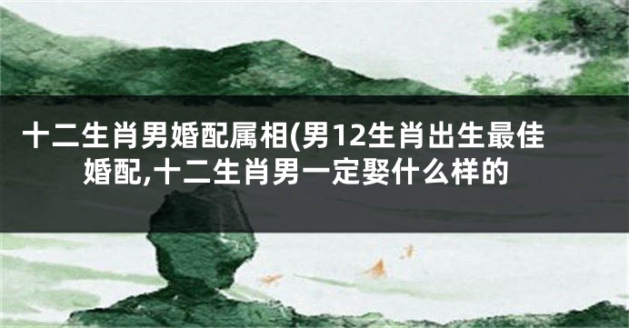 十二生肖男婚配属相(男12生肖出生最佳婚配,十二生肖男一定娶什么样的