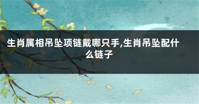 生肖属相吊坠项链戴哪只手,生肖吊坠配什么链子