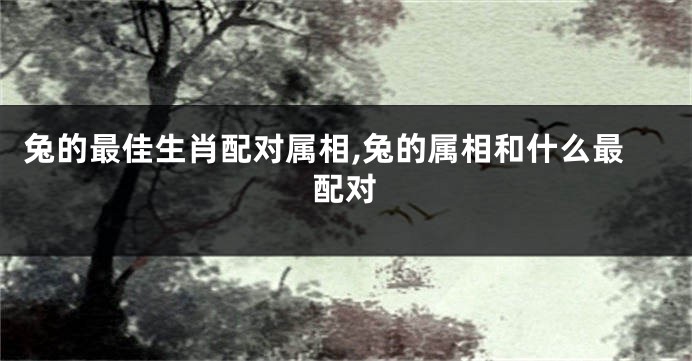 兔的最佳生肖配对属相,兔的属相和什么最配对