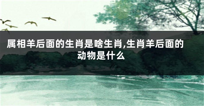 属相羊后面的生肖是啥生肖,生肖羊后面的动物是什么