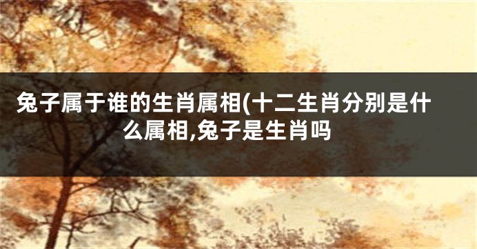 兔子属于谁的生肖属相(十二生肖分别是什么属相,兔子是生肖吗