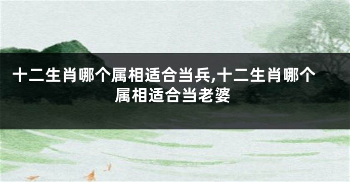 十二生肖哪个属相适合当兵,十二生肖哪个属相适合当老婆