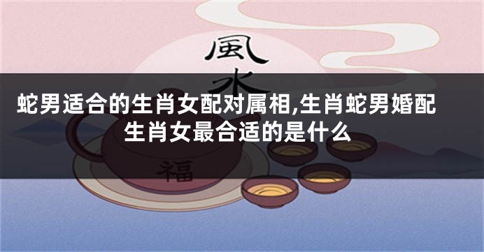 蛇男适合的生肖女配对属相,生肖蛇男婚配生肖女最合适的是什么