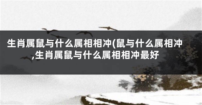 生肖属鼠与什么属相相冲(鼠与什么属相冲,生肖属鼠与什么属相相冲最好