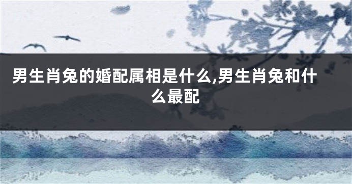 男生肖兔的婚配属相是什么,男生肖兔和什么最配