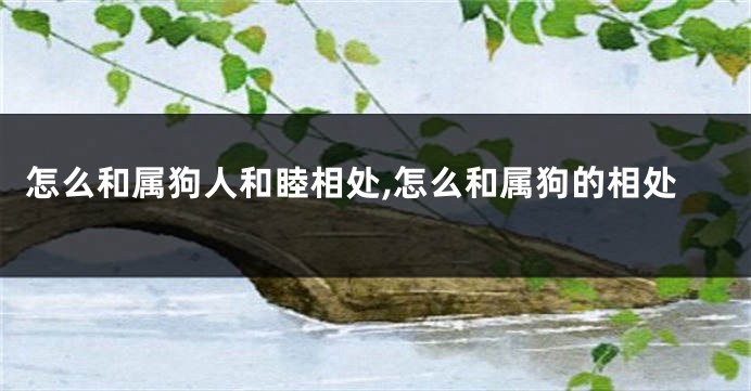 怎么和属狗人和睦相处,怎么和属狗的相处