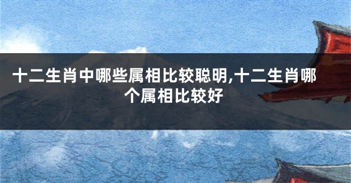 十二生肖中哪些属相比较聪明,十二生肖哪个属相比较好