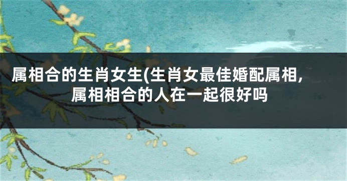 属相合的生肖女生(生肖女最佳婚配属相,属相相合的人在一起很好吗