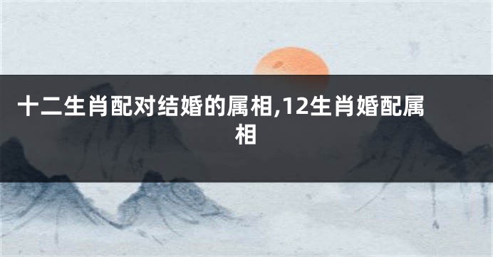 十二生肖配对结婚的属相,12生肖婚配属相