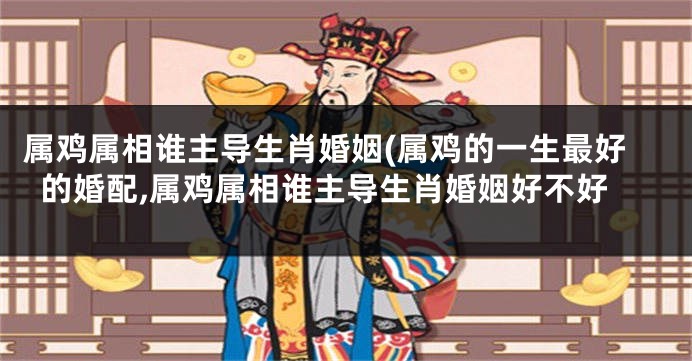 属鸡属相谁主导生肖婚姻(属鸡的一生最好的婚配,属鸡属相谁主导生肖婚姻好不好