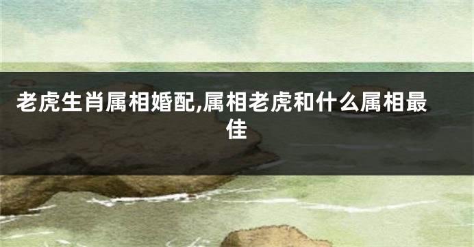 老虎生肖属相婚配,属相老虎和什么属相最佳