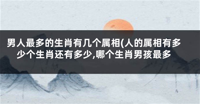 男人最多的生肖有几个属相(人的属相有多少个生肖还有多少,哪个生肖男孩最多