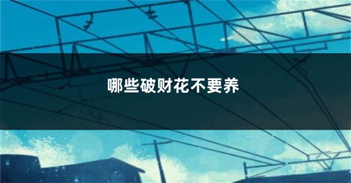 哪些破财花不要养