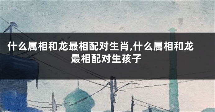 什么属相和龙最相配对生肖,什么属相和龙最相配对生孩子