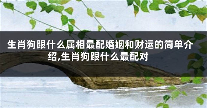 生肖狗跟什么属相最配婚姻和财运的简单介绍,生肖狗跟什么最配对