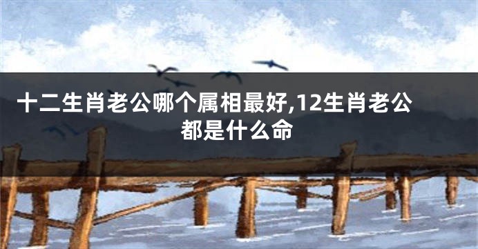 十二生肖老公哪个属相最好,12生肖老公都是什么命