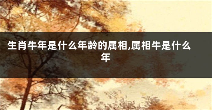 生肖牛年是什么年龄的属相,属相牛是什么年