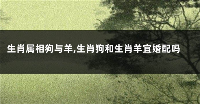生肖属相狗与羊,生肖狗和生肖羊宜婚配吗
