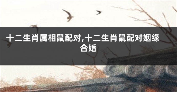十二生肖属相鼠配对,十二生肖鼠配对姻缘合婚
