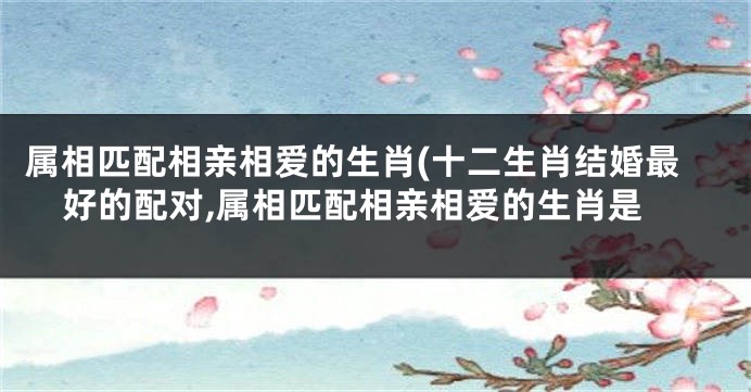 属相匹配相亲相爱的生肖(十二生肖结婚最好的配对,属相匹配相亲相爱的生肖是
