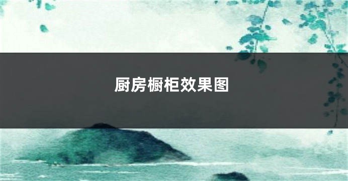 厨房橱柜效果图