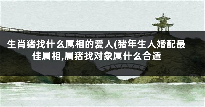 生肖猪找什么属相的爱人(猪年生人婚配最佳属相,属猪找对象属什么合适