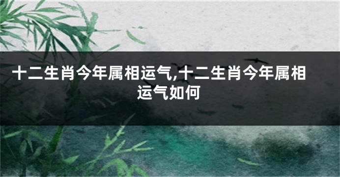 十二生肖今年属相运气,十二生肖今年属相运气如何