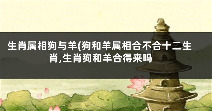 生肖属相狗与羊(狗和羊属相合不合十二生肖,生肖狗和羊合得来吗