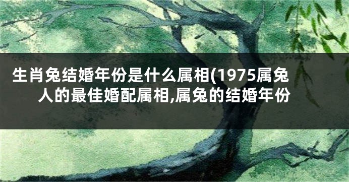 生肖兔结婚年份是什么属相(1975属兔人的最佳婚配属相,属兔的结婚年份