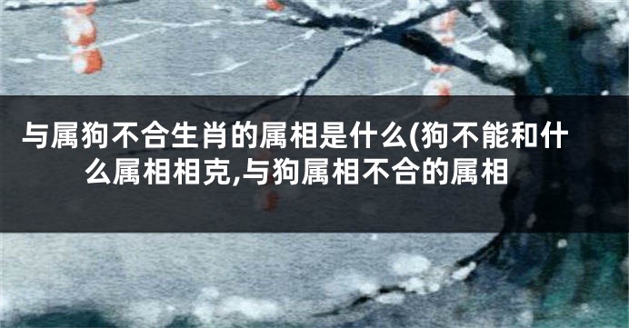 与属狗不合生肖的属相是什么(狗不能和什么属相相克,与狗属相不合的属相
