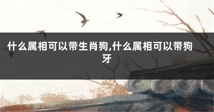 什么属相可以带生肖狗,什么属相可以带狗牙