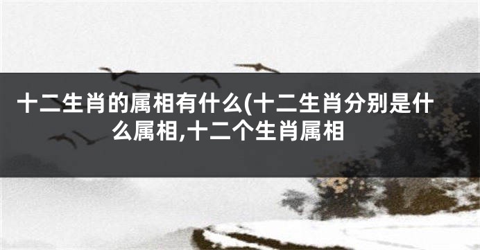 十二生肖的属相有什么(十二生肖分别是什么属相,十二个生肖属相